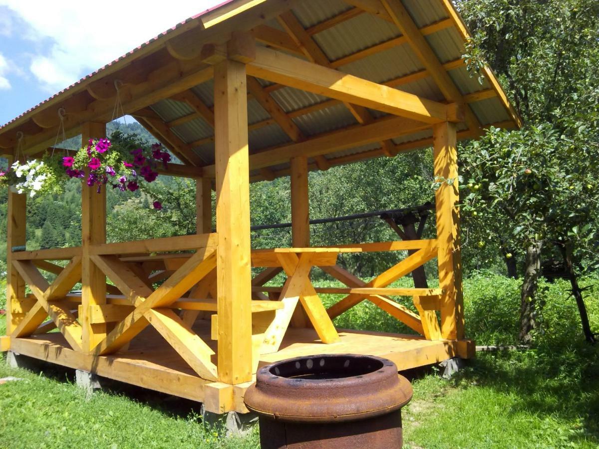 Відпочинок У Карпатах, Мінеральні Ванни, Банний Чан! Guest House Verkhnyaya Bystra Bagian luar foto