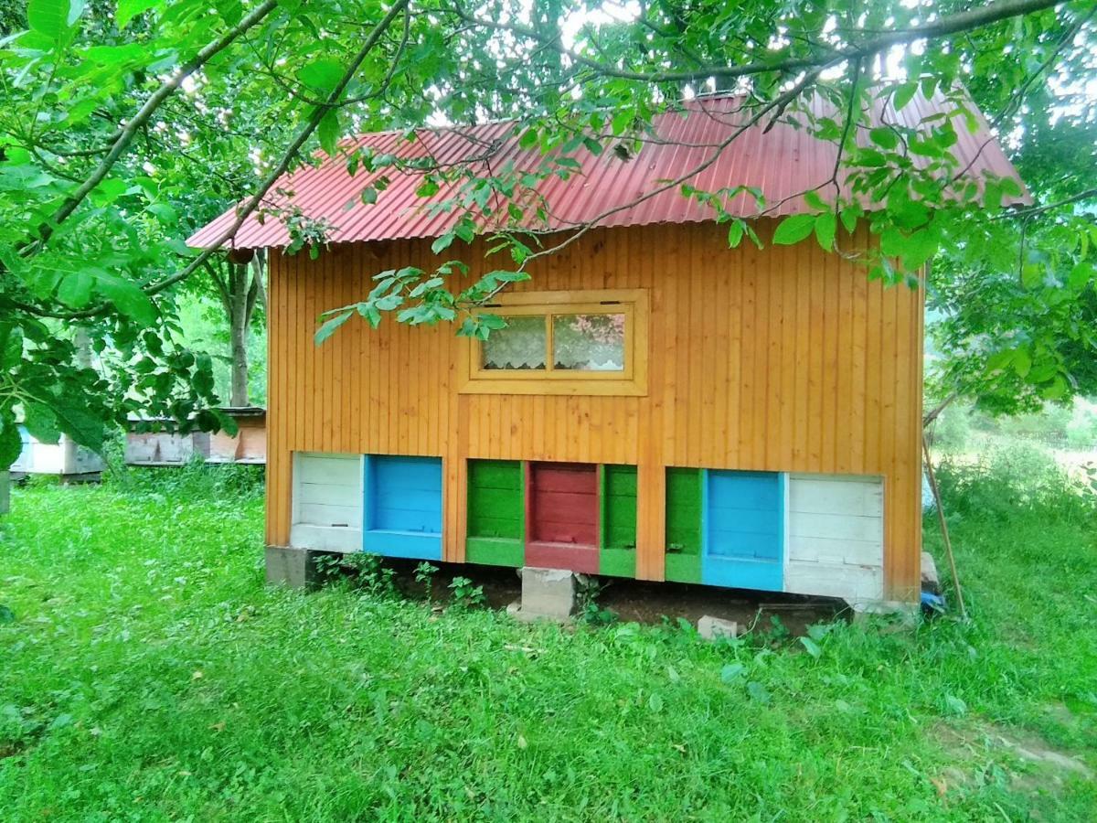 Відпочинок У Карпатах, Мінеральні Ванни, Банний Чан! Guest House Verkhnyaya Bystra Bagian luar foto